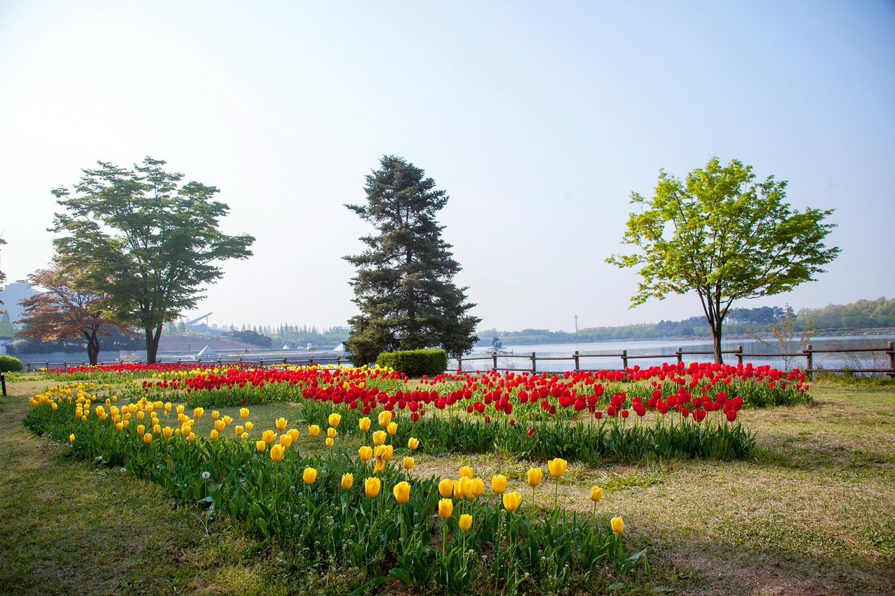 일산 국비지원학원