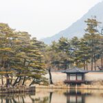 서울 경기 퀵 비용 알아보자