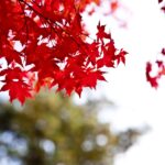 춘천 기차여행 필수 체크리스트 알아보자